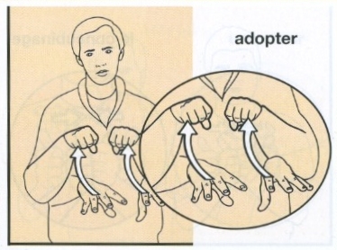 Adopter.jpg