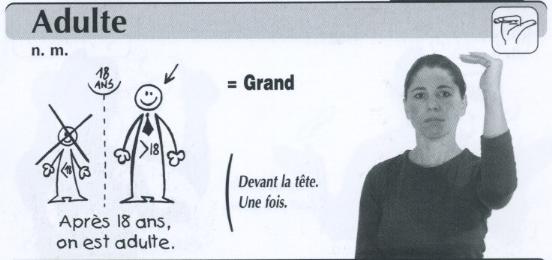 Adulte.jpg