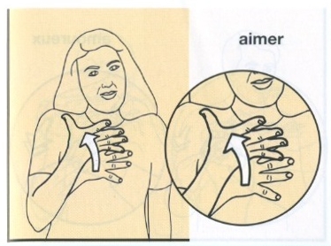 Aimer-2.jpg