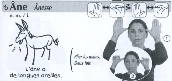 Ane.jpg