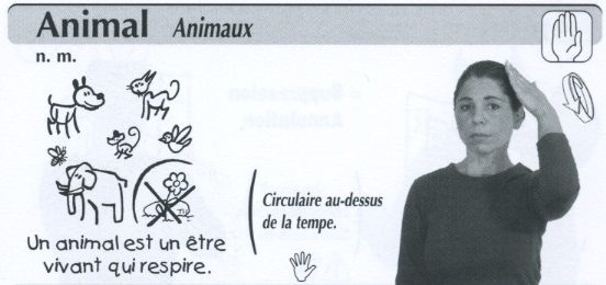 Animal.jpg