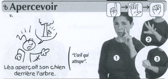 Apercevoir.jpg
