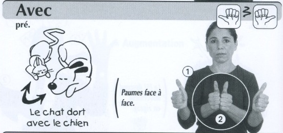 Avec.jpg