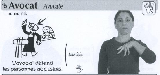 Avocat.jpg