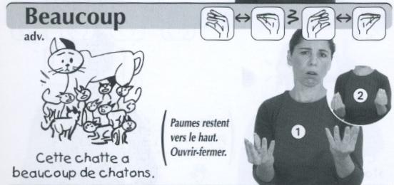 Beaucoup.jpg