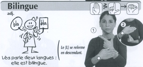 Bilingue.jpg