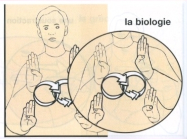 Biologie-2.jpg
