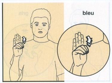 Bleu.jpg