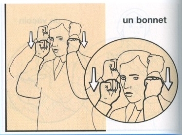 Bonnet-2.jpg