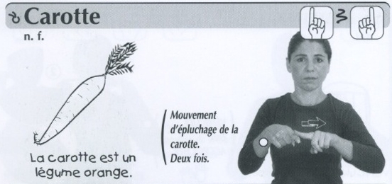 Carotte.jpg