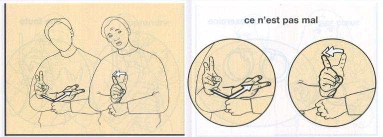 Ce n'est pas mal.jpg