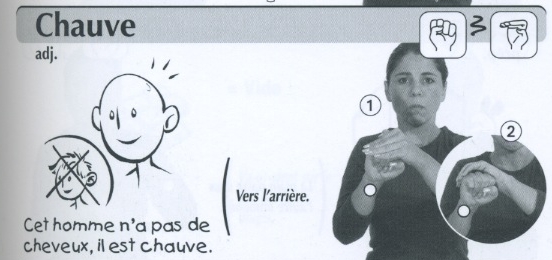 Chauve.jpg