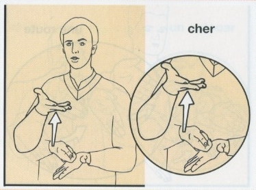 Cher.jpg
