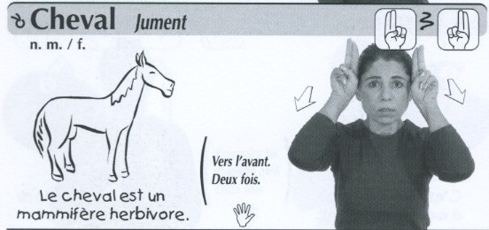 Cheval.jpg