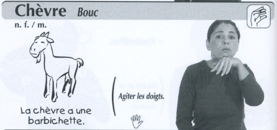 Chèvre.jpg