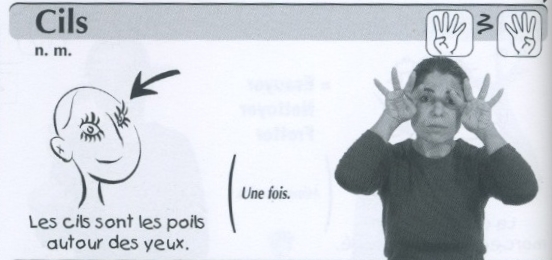 Cils.jpg