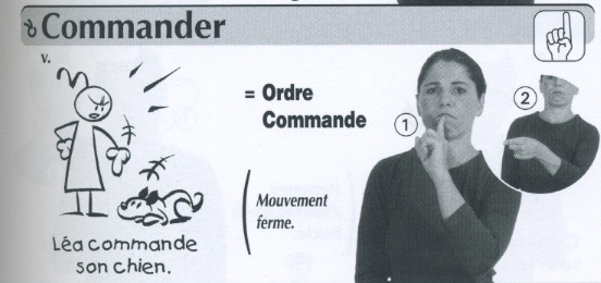Commander.jpg