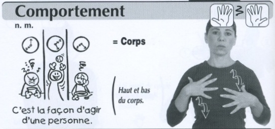 Comportement.jpg