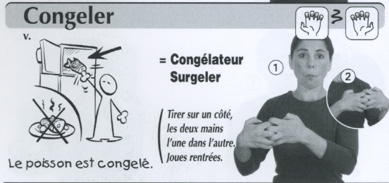 Congeler.jpg