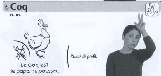 Coq.jpg