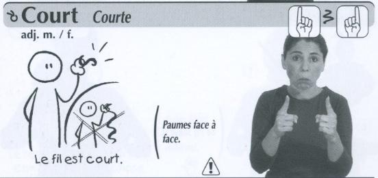 Court.jpg