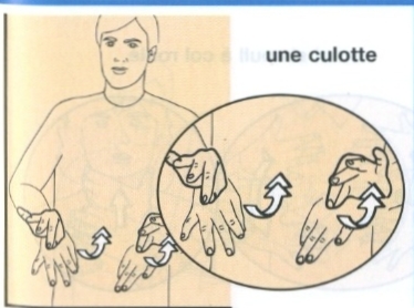 Culotte.jpg