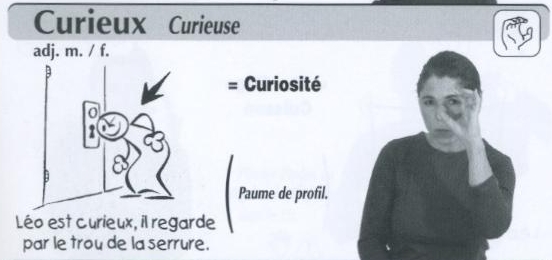Curieux.jpg