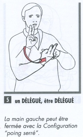 Délégué.jpg