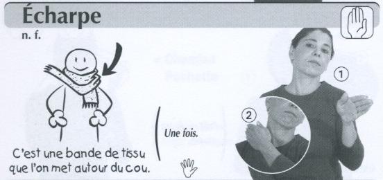 Echarpe.jpg