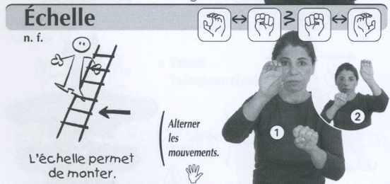 Echelle.jpg