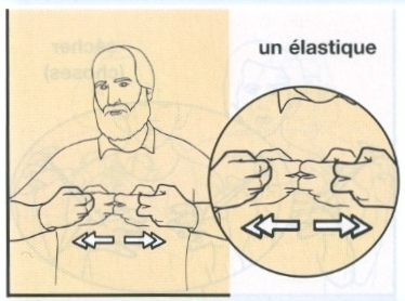 Elastique.jpg