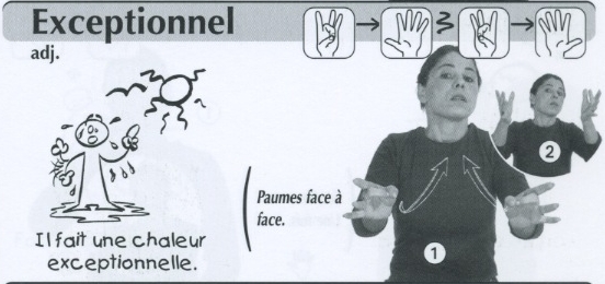 Exceptionnel.jpg