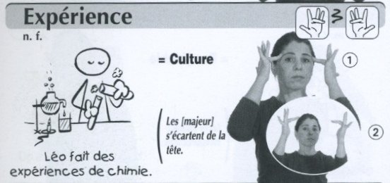 Expérience.jpg