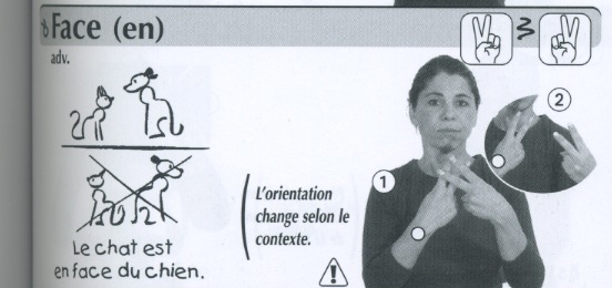 Face (en).jpg