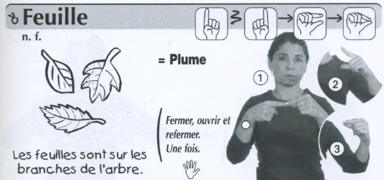 Feuille.jpg