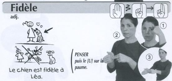 Fidèle.jpg