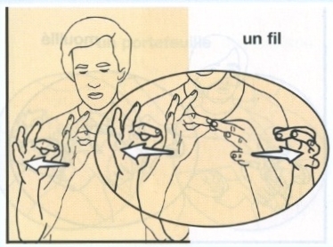 Fil.jpg