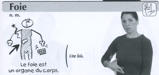 Foie.jpg