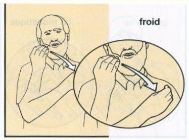 Froid.jpg