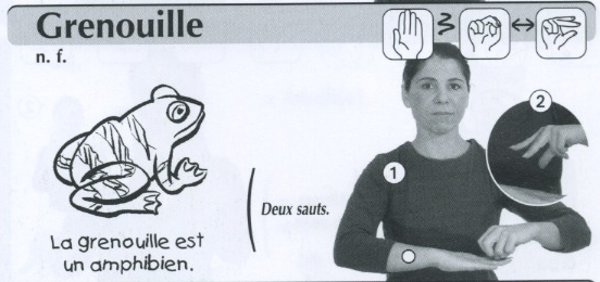 Grenouille.jpg