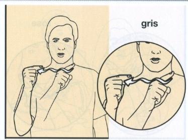 Gris.jpg