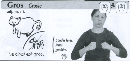 Gros.jpg