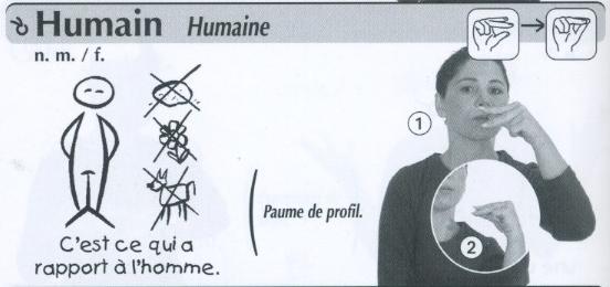Humain.jpg