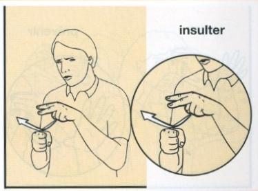 Insulter.jpg