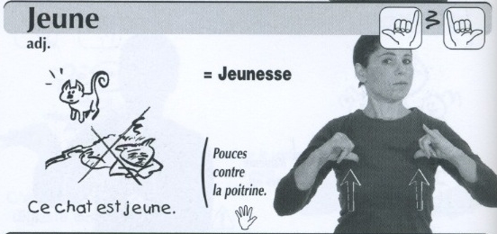 Jeune.jpg