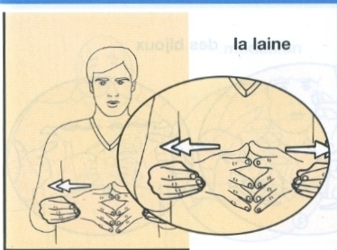 Laine-2.jpg