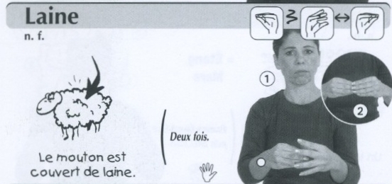 Laine.jpg
