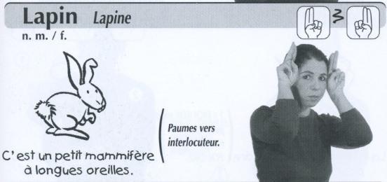 Lapin.jpg