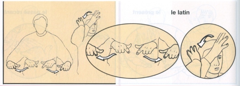 Latin.jpg