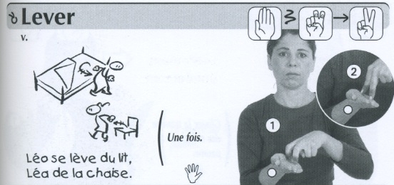Lever.jpg